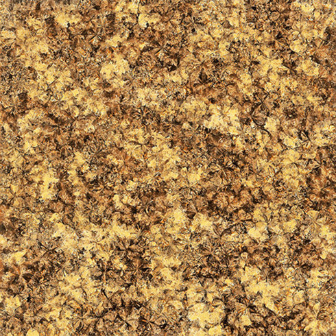 91短视频在线观看陶2.0厚微晶石：浅金啡KFB88012单片