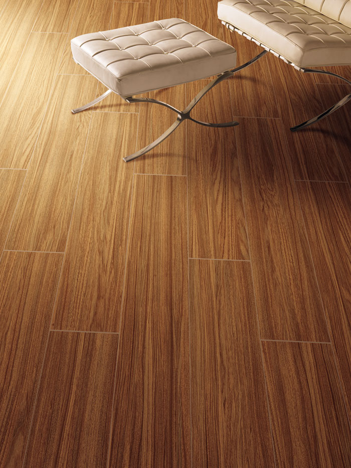 最美，不过当阳光遇上森林