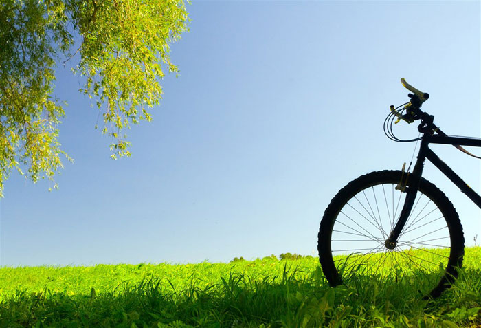 即便是春风十里，依然不如你